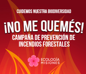 ECOLOGIA no me quemes—350 x 300