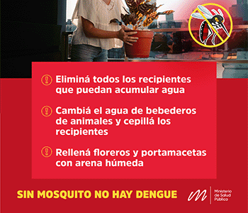 MINISTERIO-DE-GOBIERNO-dengue-2024-350×300-1