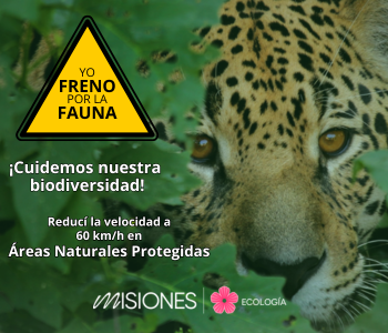 MINISTERIO-ECOLOGIA-2024-350×300-1