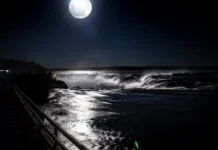 Ampliación del paseo de luna llena en Cataratas: Siete noches de oportunidad para el sector