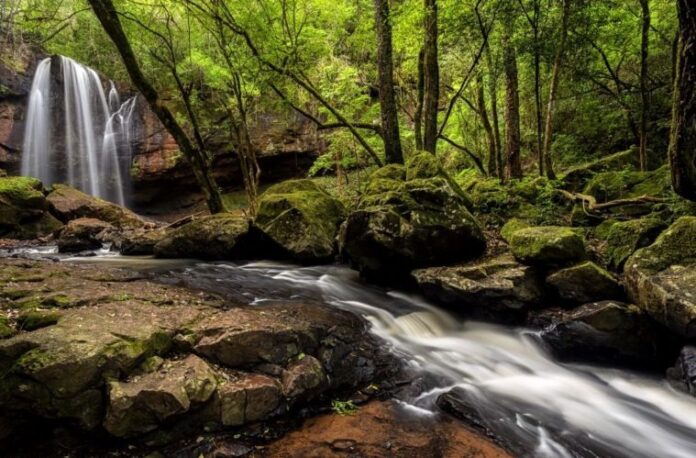 Salto Berrondo, Oberá