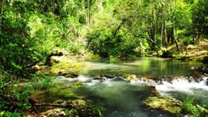 Misiones se prepara para un nuevo fin de semana XXL de noviembre: cuatro días para potenciar el turismo y las economías regionales