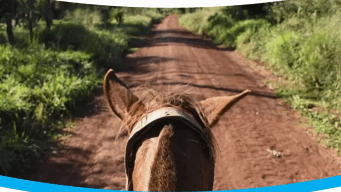 Cabalgata