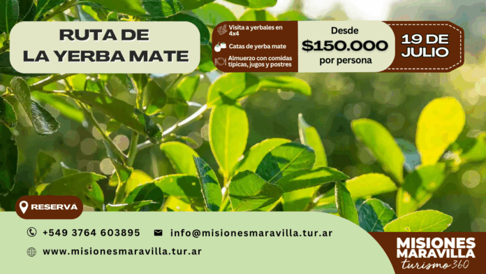 Yerba mate