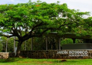 Posadas: tierra de río, cultura y eventos - Jardín Botánico