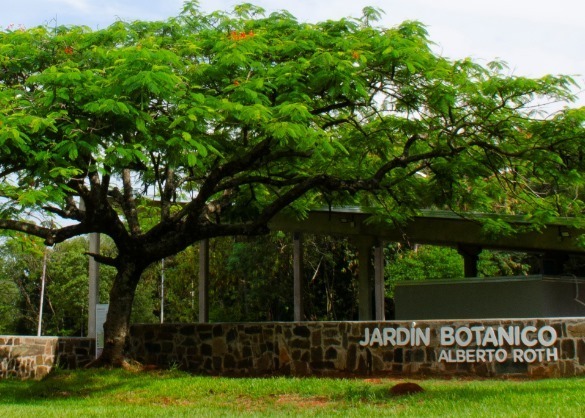 Posadas: tierra de río, cultura y eventos - Jardín Botánico