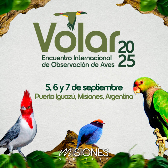 “Volar 2025”: Misiones lanza su primer encuentro internacional de observación de aves