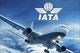 El transporte aéreo global consolida su recuperación: la demanda de pasajeros creció un 5 % en mayo de 2025