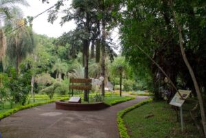 primera Expo Jardín: un evento para disfrutar, transformar y conectar con la naturaleza