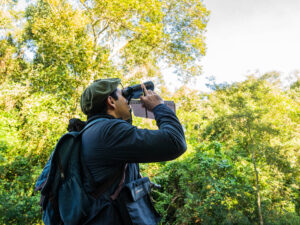 Misiones se suma al Gran Día de Observación de Aves con actividades abiertas al público