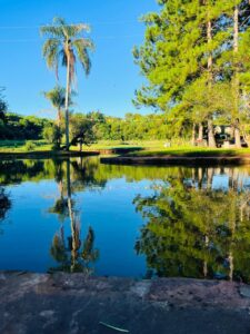 Camping Edén en Apóstoles