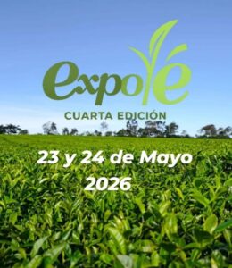 Posadas será sede de la cuarta edición de Expo Té Argentina con fuerte protagonismo del sector tealero