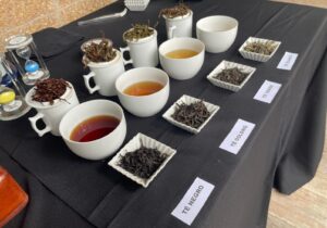 Posadas será sede de la Expo Té Argentina 2026 