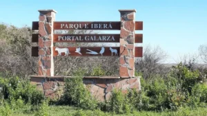 Nueva salida grupal a los Esteros del Iberá desde Posadas