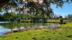 “Esencia Misionera”, una propuesta para recorrer la naturaleza y las tradiciones de Misiones