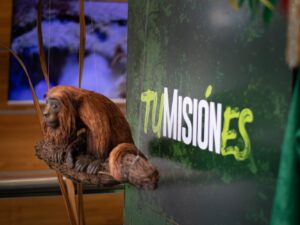 Misiones presentó en Buenos Aires su propuesta de turismo regenerativo y responsable